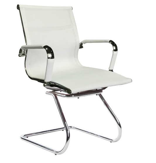 Classic Netting Visitor - White